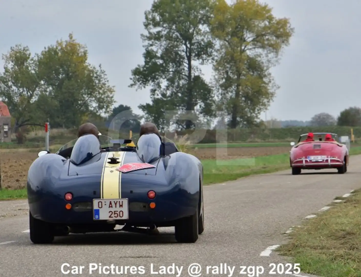 Iso Rivolta Lele Barchetta Blau - 1