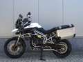 Triumph Tiger 800 XC Wit - thumbnail 14