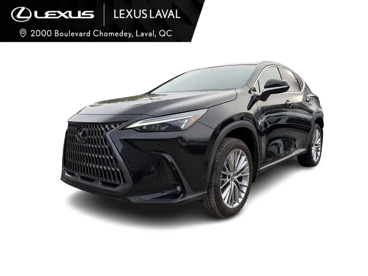 2024 Lexus NX снимка 2024 Lexus NX