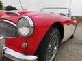 Austin-Healey 3000 MKII BJ7 Rojo - thumbnail 9
