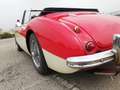 Austin-Healey 3000 MKII BJ7 Rojo - thumbnail 7