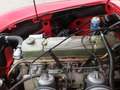 Austin-Healey 3000 MKII BJ7 Rojo - thumbnail 33