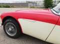 Austin-Healey 3000 MKII BJ7 Rojo - thumbnail 12