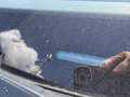 Volkswagen Sharan Sky BMT TDI 4MOTION Braun - thumbnail 26