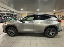 Lexus NX снимка Lexus NX