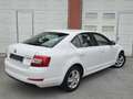 Skoda Octavia Octavia 1,6 TDI Greentec *Pickerl NEU* *1.Besitz* Weiß - thumbnail 5