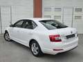 Skoda Octavia Octavia 1,6 TDI Greentec *Pickerl NEU* *1.Besitz* Weiß - thumbnail 4