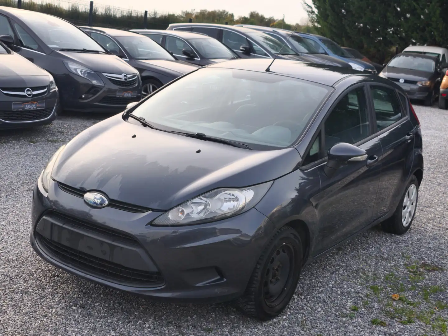 Ford Fiesta Fiesta 1.4 TDCi Trend Grijs - 2