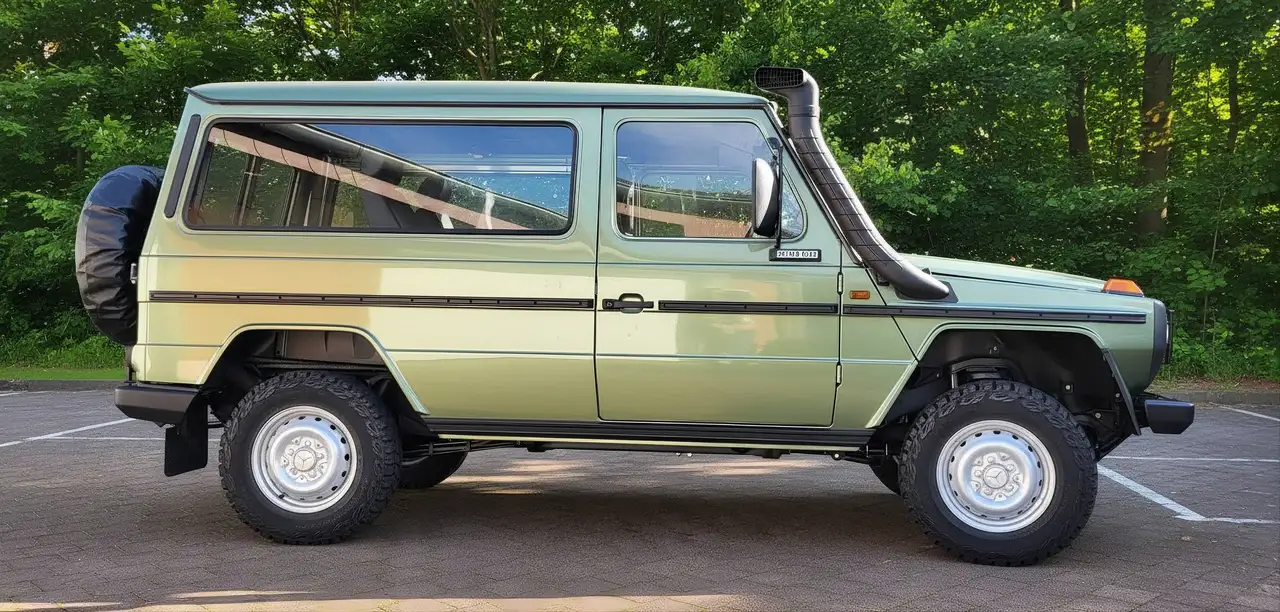 Mercedes-Benz G 300 W460-PUCH 300GD, foto 8