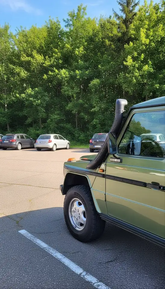 Mercedes-Benz G 300 W460-PUCH 300GD, foto 12