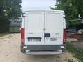 Iveco Daily Bianco - thumbnail 7