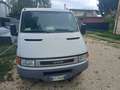 Iveco Daily Bianco - thumbnail 2