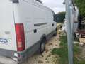 Iveco Daily Bianco - thumbnail 6