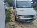 Iveco Daily Bianco - thumbnail 5