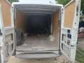 Iveco Daily Bianco - thumbnail 1