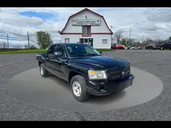 2010 Dodge Dakota