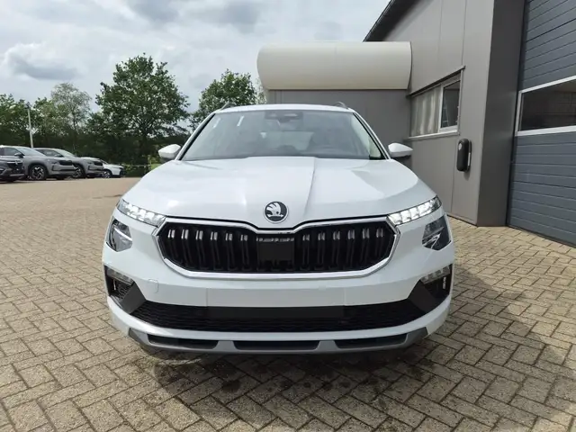 Skoda Kamiq view 6