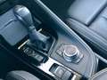 BMW X2 xDrive25e Ed Goldplay M Sport NAV/ACC/LED+SH Grün - thumbnail 11
