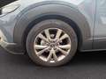Mazda CX-30 Selection 2WD*LED*NAVI*360 Grad*TOP Gris - thumbnail 20