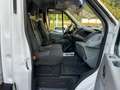 Ford TRANSIT  350 2.2 TDCI SPONDA IDRAULICA Bianco - thumbnail 12