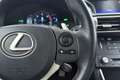 Lexus IS 300 300h F Sport Line | Trekhaak | Elek stoelverstelli Grau - thumbnail 32