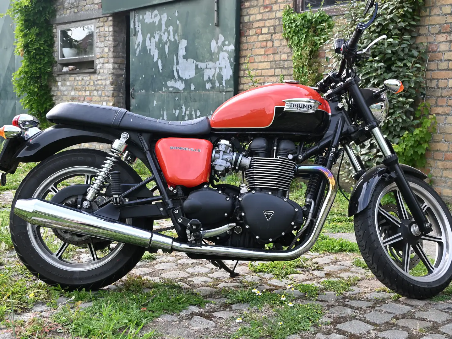 Triumph Bonneville SE - 1