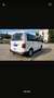 Volkswagen T6 Caravelle Caravelle Trendline Weiß - thumbnail 8