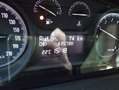 Lancia Ypsilon 1.2 69 CV 5 porte  KM 63000 Bianco - thumbnail 10
