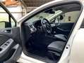 Renault Clio TCe GLP Evolution 74kW Blanco - thumbnail 25