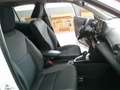 Toyota Yaris Cross Yaris Cross 1.5 Hybrid 5p. E-CVT Active Білий - thumbnail 16