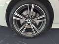 BMW 330 e xDrive Touring Sport Line Automatic AHK Rüc Weiß - thumbnail 13