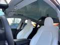 Tesla Model Y Long Range Dual AWD 20-ZOLL INDUCTION Grau - thumbnail 15