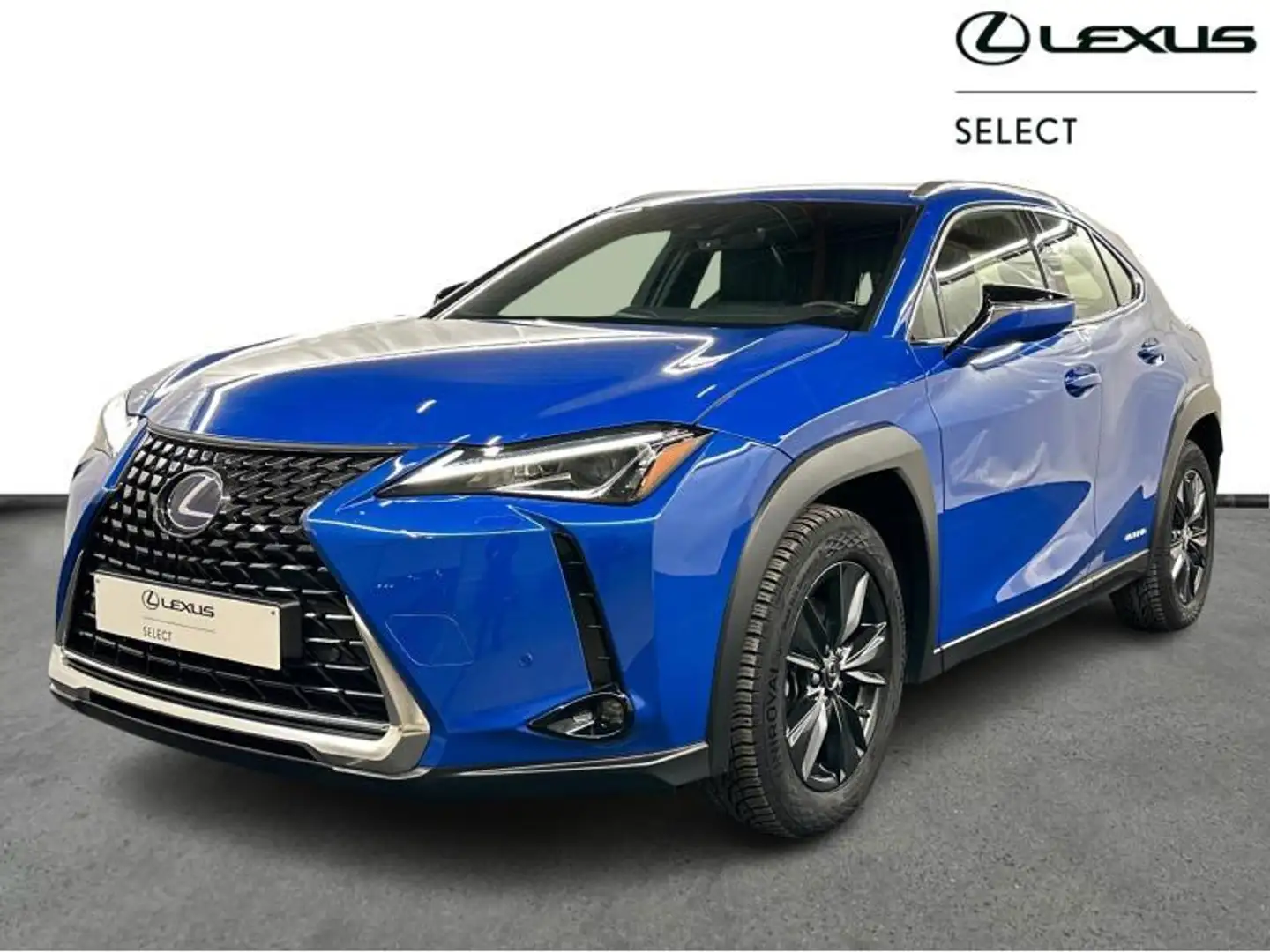 Lexus UX 250h Business Line + Leather Mavi - 1