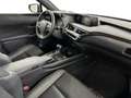 Lexus UX 250h Business Line + Leather Niebieski - thumbnail 8