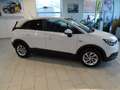 Opel Crossland X 1.2 Turbo INNOVATION AHK+LED+SHZ+LM Blanco - thumbnail 5