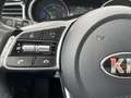 Kia XCeed 1.6 GDi PHEV ExecutiveLine | Trekhaak, Schuifdak, Blanco - thumbnail 14