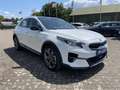 Kia XCeed 1.6 GDi PHEV ExecutiveLine | Trekhaak, Schuifdak, Blanco - thumbnail 7