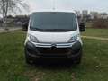 Citroen Jumper Fg. 2.0BlueHDi 30 L1H1 110 Blanco - thumbnail 2
