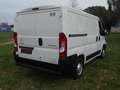 Citroen Jumper Fg. 2.0BlueHDi 30 L1H1 110 Blanco - thumbnail 7