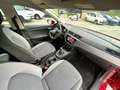 SEAT Ibiza Ibiza 1.6 tdi Business NAVI-RADAR Rosso - thumbnail 9
