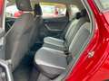 SEAT Ibiza Ibiza 1.6 tdi Business NAVI-RADAR Rosso - thumbnail 8
