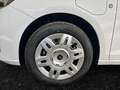 Ford Transit Connect Kasten 1.5 EcoBoost L1 Kasten PHEV Weiß - thumbnail 13