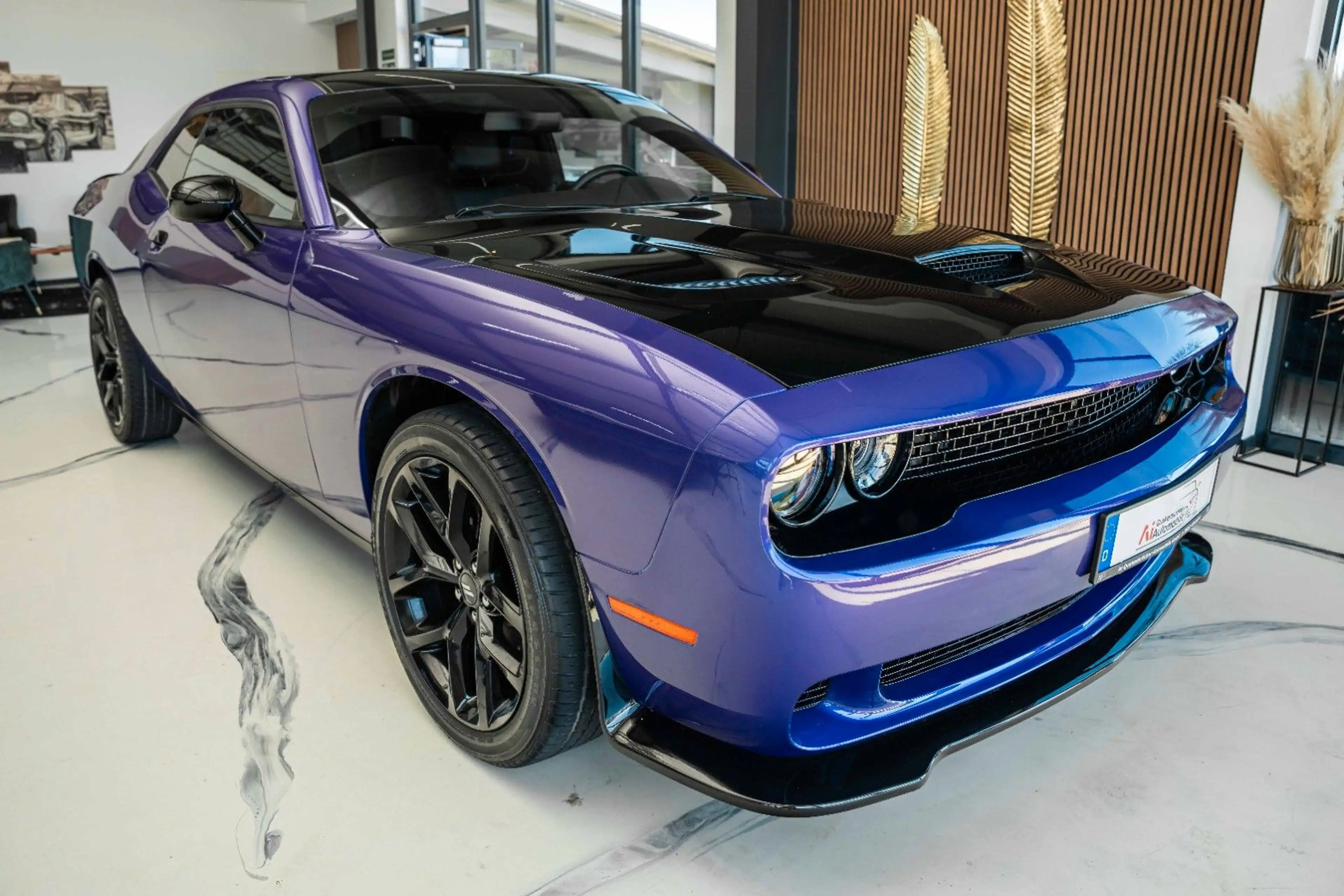 Dodge Challenger 3.6 V6  Purple Power MEGA — photo 3