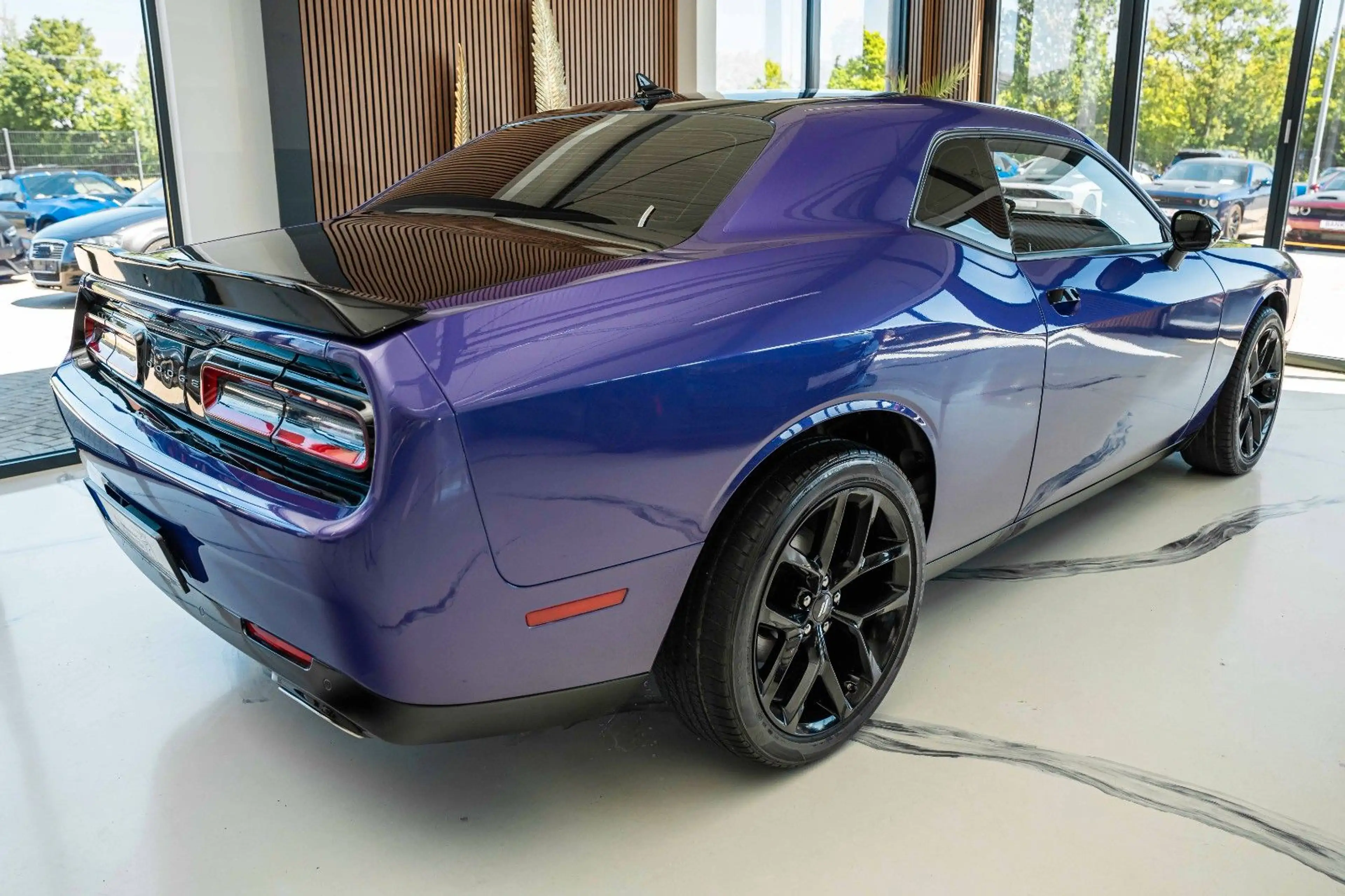 Dodge Challenger 3.6 V6  Purple Power MEGA — photo 5