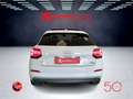 Audi Q2 2.0 TDI quattro S tronic S line Edition KM 65.000 Bianco - thumbnail 10