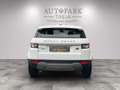 Land Rover Range Rover Evoque Pure  (TÜV-BT-SHZ-TMP-LEDER) Blanc - thumbnail 11