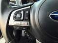 Subaru OUTBACK 2.0 D EXECUTIVE PLUS CVT con TECHO SOLAR, CUERO CO Gris - thumbnail 19