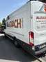 Ford Transit Bus Weiß - thumbnail 5