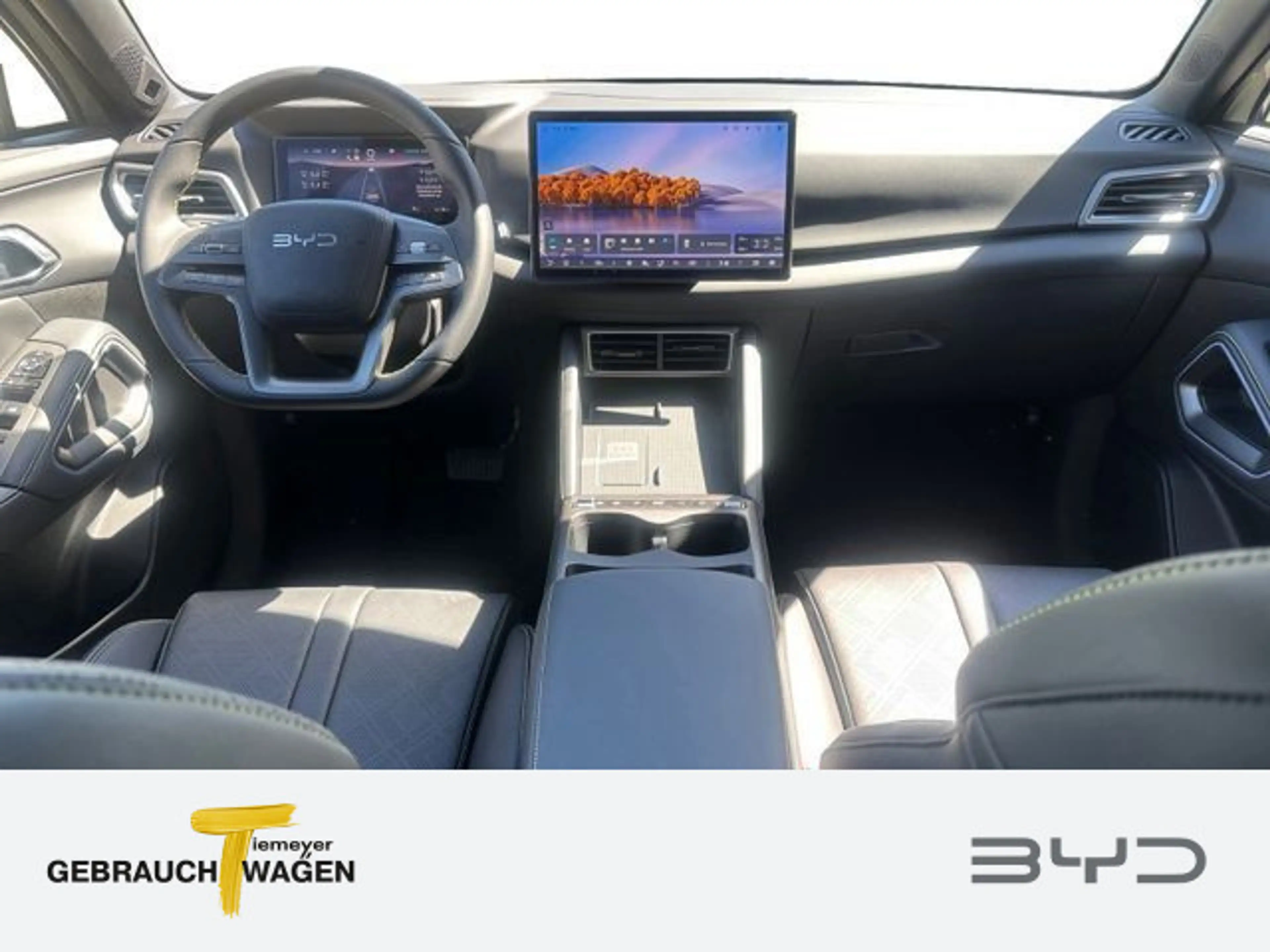 BYD Atto 2 Atto 2 Comfort — photo 11