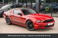 Ford Mustang Tout compris hors homologation 4500e Rouge - thumbnail 15